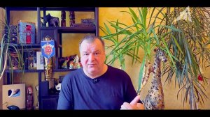 Другой возраст Земли