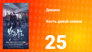 Кость дикой собаки 25 серия