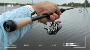 Бассовый спиннинг в наших условиях