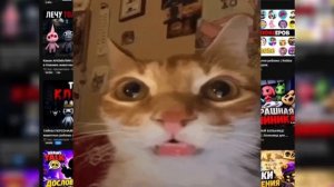 (+18) RED CAT — Русофобия Для Самых Маленьких (перезалив, ๖ۣۜБахарь)