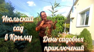 Обзор новых растений. Лечим хвойные. Почему пересадила агаву? Пробую выращенный ананас