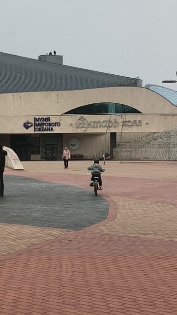 Светлогорск. Обзорный вид на 
