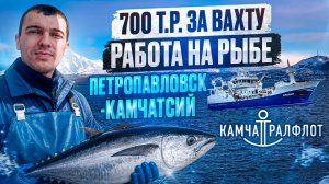 700 тысяч за вахту на рыбе в Петропавловск-Камчатском. Камчаттралфлот. Где продолжить рыбную путину?