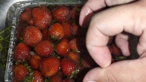 Мои покупки клубника