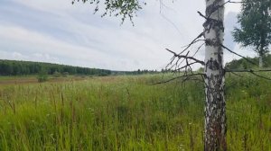 Взяток продолжается (26.
07.2026)