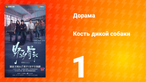 Кость дикой собаки 1 серия