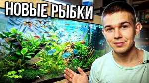 Новые аквариумные и прудовые рыбки с птичьего рынка на рыборазводне!