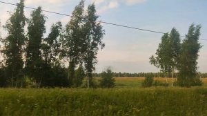 Смотрим красоту из окна