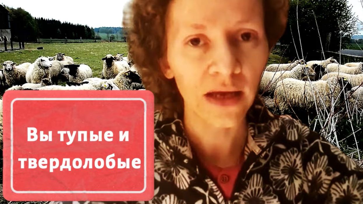 СТРАНИЧКА НАДЕЖДЫ: «Россияне — тупые, а образование калечит!» / Надька пробила дно.