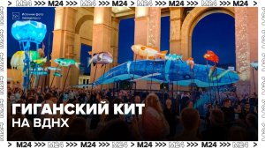 Огромный кит появился на ВДНХ во время фестиваля искусств «Вдохновение» - Москва 24