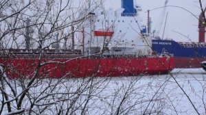 Канонерский остров