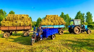 СЕНОКОС В СИБИРИ ВЫШЕЛ НА НОВЫЙ УРОВЕНЬ. ГРУЗИМ СВОЙ АВТОПОЕЗД.