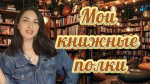 Мой новый книжный стеллаж 📚