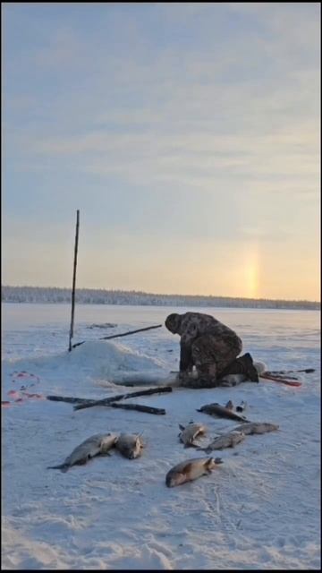 Настоящая северная Рыбалка