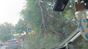Анапа, день второй. 22.07.26