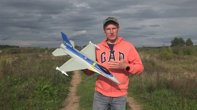 Самолет на радиоуправлении