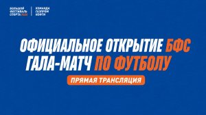 Открытие Большого фестиваля спорта и гала-матч по мини-футболу