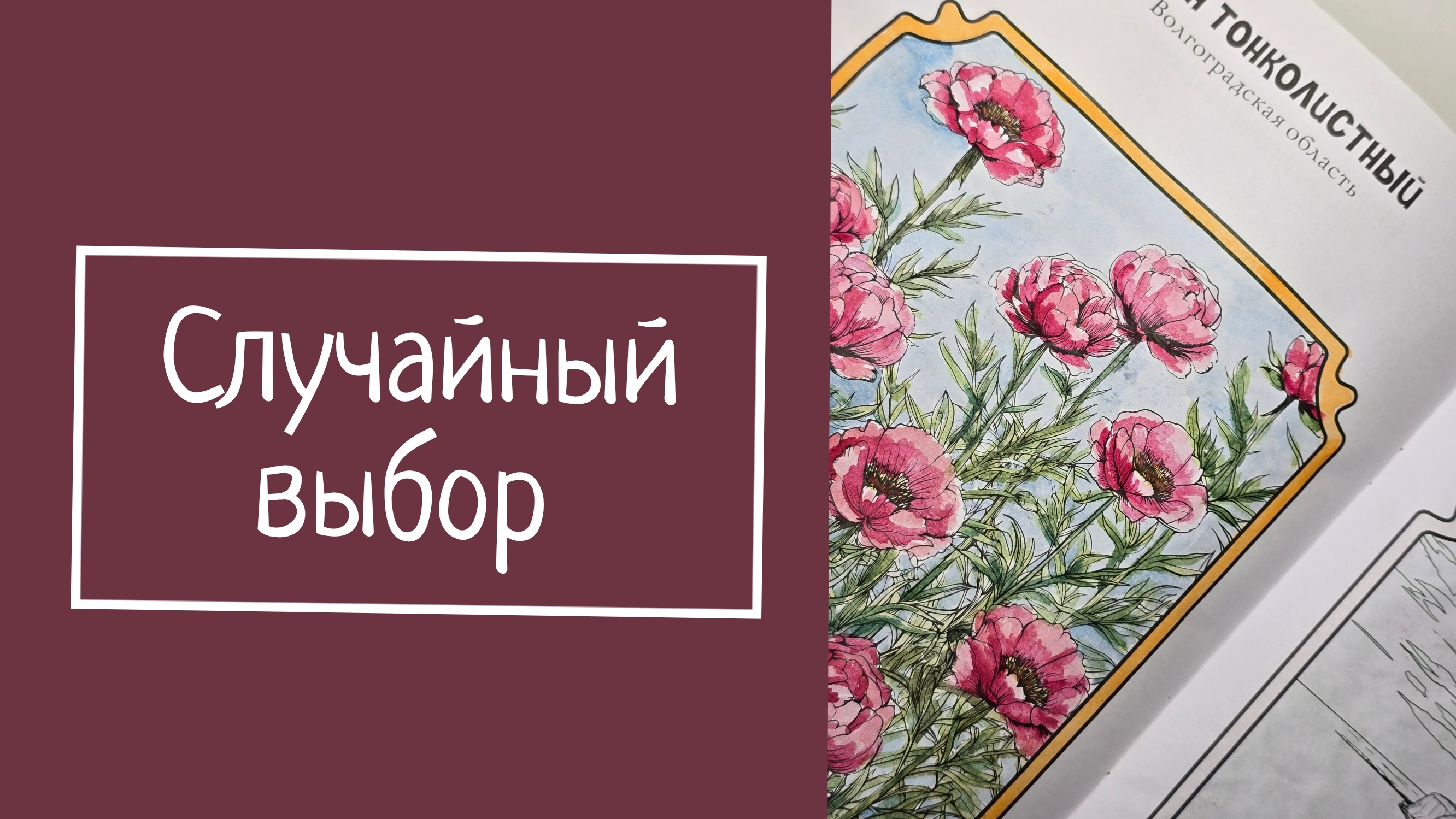 Случайный выбор смотреть онлайн