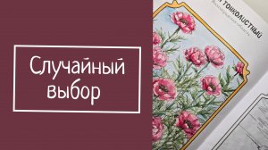 Случайный выбор