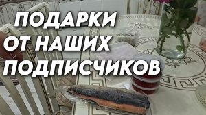 1187 Жизнь семьи на Кубани/Ответ на интересный комментарий
