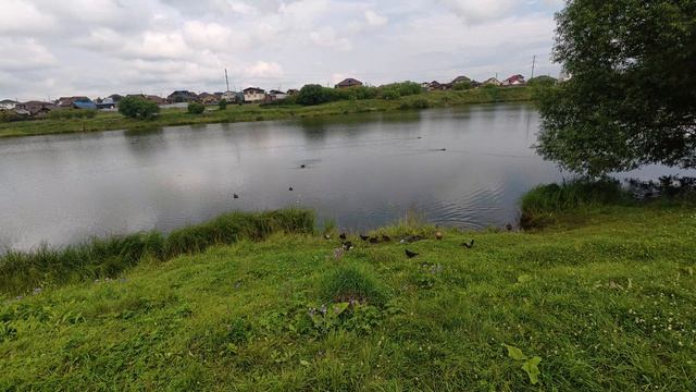 Красноярск, озеро парк 26.07.2026г.