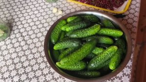 Самые вкусные маринованные огурцы с красной смородиной.