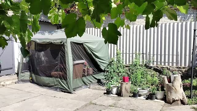 Прячемся от жары в тени речных деревьев. Поиск с магнитом на 120 кг.