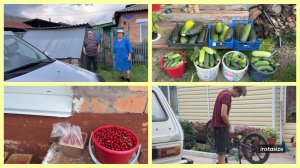Заехали к РОДИТЕЛЯМ. Продала ИЗЛИШКИ .У Вани ЗАКАЗ.