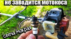 Не заводится мотокоса триммер бензиновый свеча мокрая Причины и ремонт