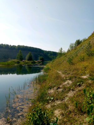 Разговор у реки