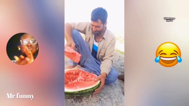 Самые смешные видео в мире, часть 2 смотреть онлайн