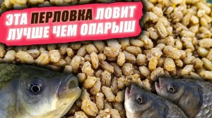 Как сделать ПЕРЛОВКУ для РЫБАЛКИ МАКСИМАЛЬНО ЭФФЕКТИВНОЙ Такая ПЕРЛОВКА ловит ЛУЧШЕ, чем ОПАРЫШ