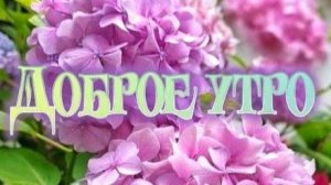 Доброе утро добрые люди – красивая музыкальная открытка с душевными пожеланиями.