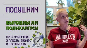 Выгодны ли растения подыхантусы. Про жалость, сочувствие, бизнес, уценку и экспертность. Подушним.