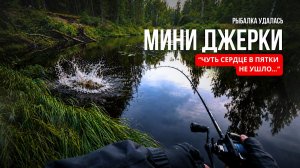 ДО МУРАШЕК... ВОТ ЭТО ПОКЛЁВКИ! ДЖЕРКБЕЙТЫ на ДИКОЙ ЛЕСНОЙ РЕЧКЕ