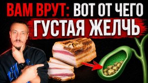 Жир — убийца печени и желчного пузыря