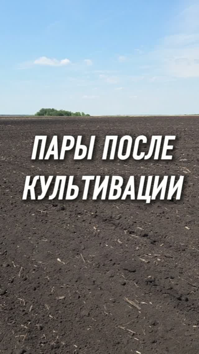 Пары после культивации #AUM #YogaFerma #сельскоехозяйство #черныйпар #органическоеземледелие смотреть онлайн