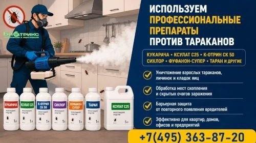Уничтожение тараканов в квартире Раменское. Вызвать дезинфектора 8(916) 454-14-54 смотреть онлайн