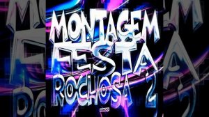 MONTAGEM FESTA ROCHOSA 2