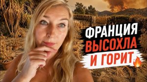 Мой сад в это адское лето. Франция.