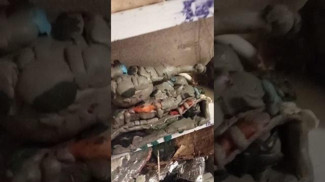обзор на полку смотреть онлайн