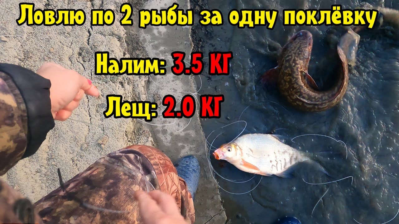 ПО 2 РЫБЫ ЗА ОДНУ ПОКЛЁВКУ!! | И в непогоду есть отличный клёв смотреть онлайн