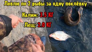 ПО 2 РЫБЫ ЗА ОДНУ ПОКЛЁВКУ!! | И в непогоду есть отличный клёв