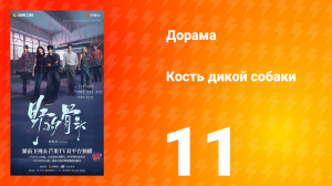 Кость дикой собаки 11 серия