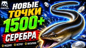 🤑 ТОП-3 ТОЧКИ ФАРМА РР4 (26.07)! СВОДКА по ВОДОЕМАМ РР4 Фарм СЕРЕБРА! МЕДНОЕ • ОСТРОГ • ЯНТАРНОЕ