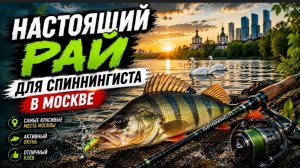 Настоящий рай спиннингиста в Москве.