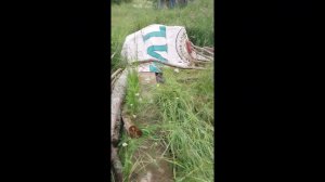 влог с моего отдыха в республике Карелия