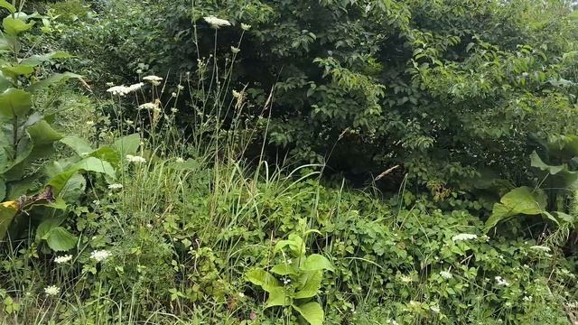 1000007395.mp4 смотреть онлайн