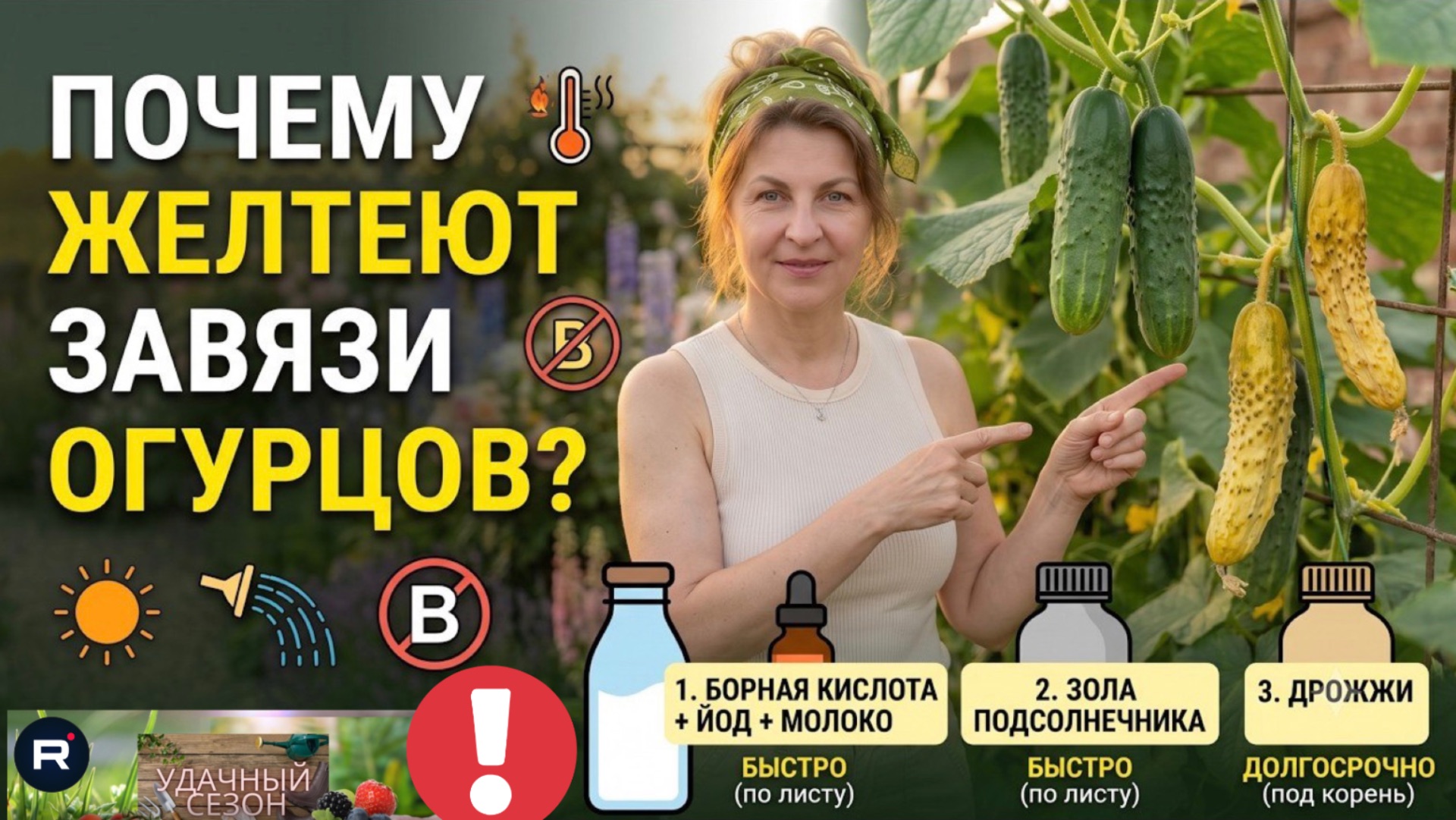 Огурцы оживают на глазах! Мало кто знает этот старинный рецепт!