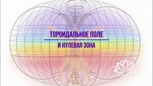 Нулевая зона и ее значение в энергопрактиках. Тороидальное поле человека || Школа ТоЧегоНет